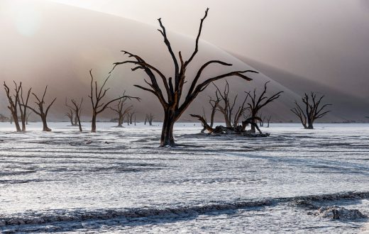 Namibia